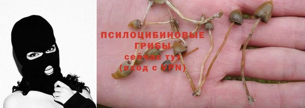 синтетический гашиш Алексеевка